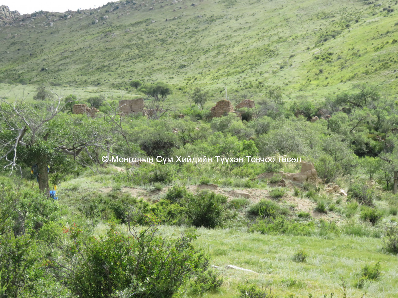 View across the site from the east